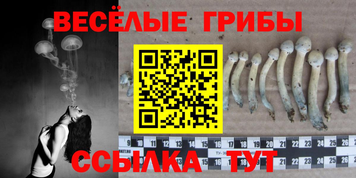Галлюциногенные грибы прущие грибы  Вход с VPN  Карпинск 