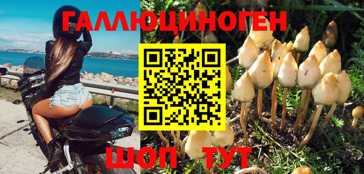 Псилоцибиновые грибы мухоморы Карпинск